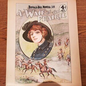 Vintage Home Decor 1978 Prints - Lot of 3 Buffalo Bill Pictures (See each pic)